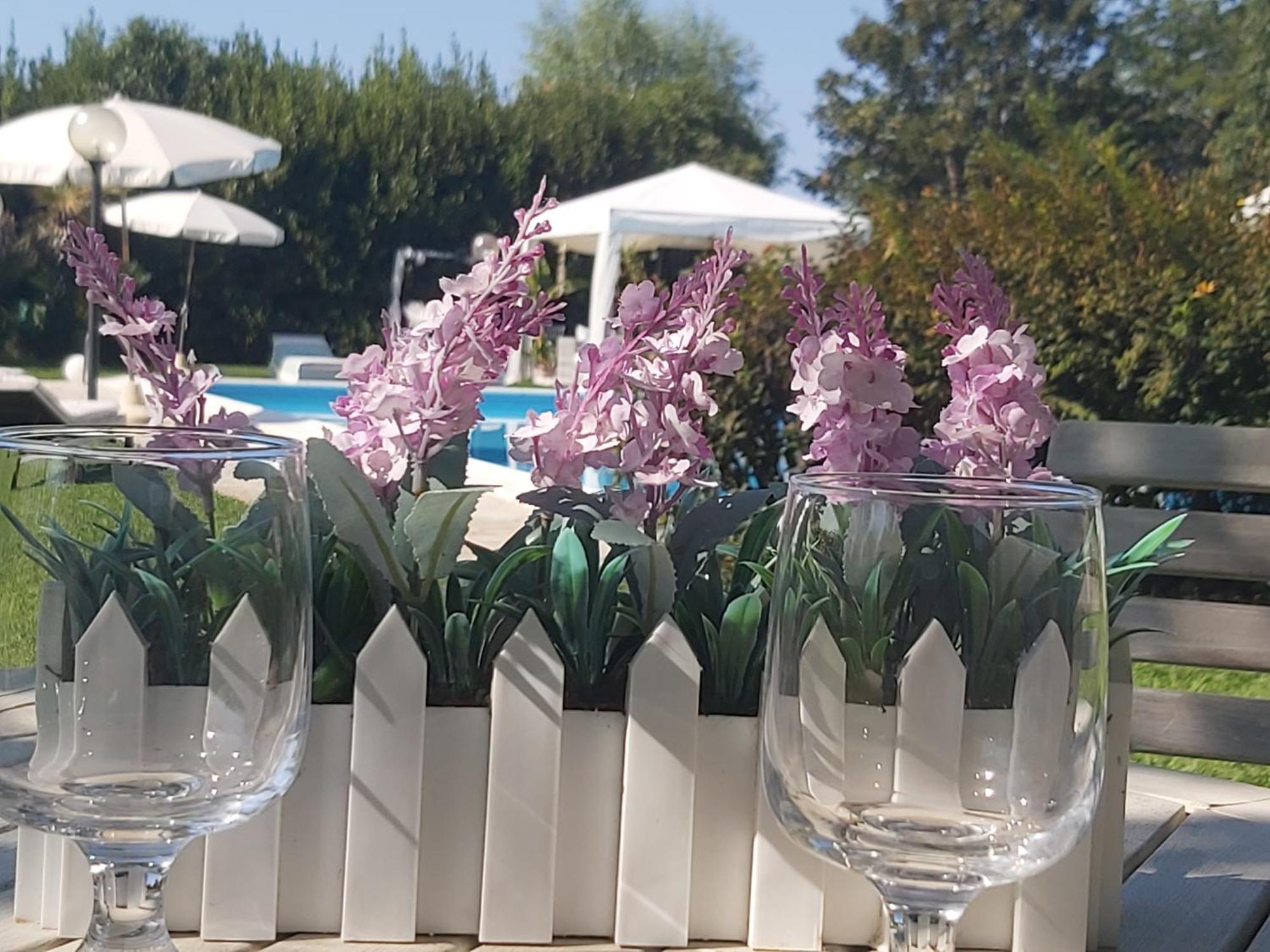 קמאיורה Villa Fioccomare מראה חיצוני תמונה