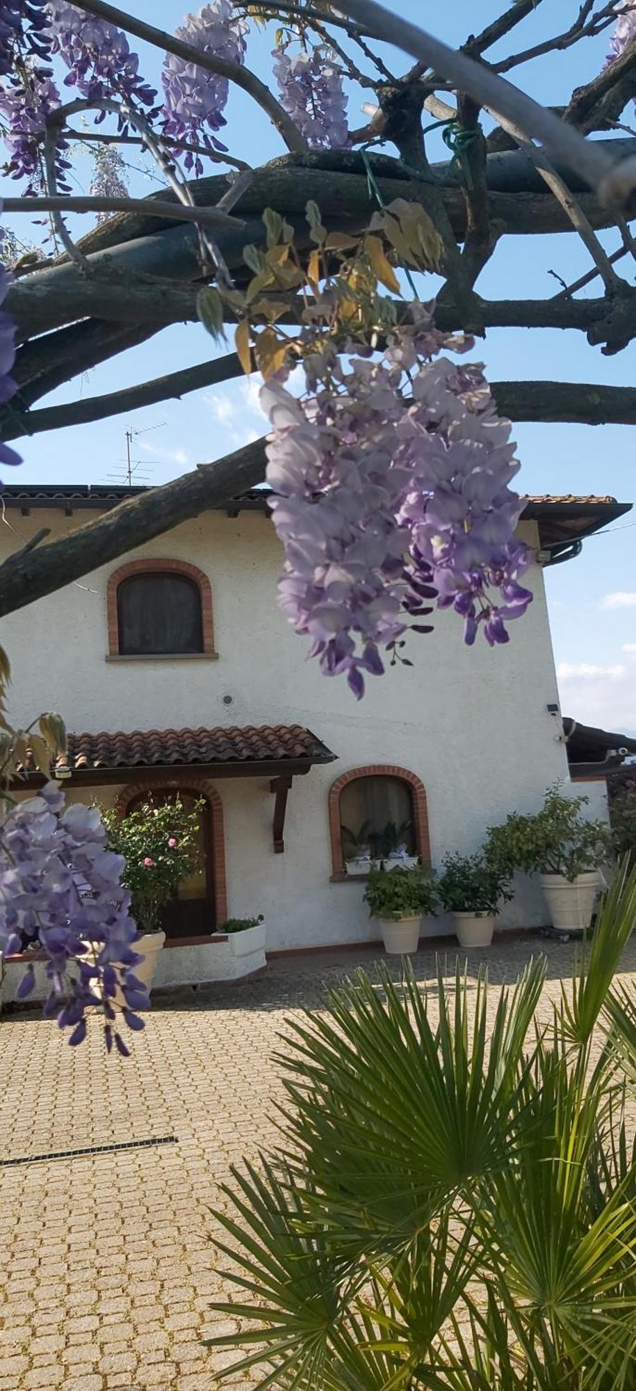קמאיורה Villa Fioccomare מראה חיצוני תמונה