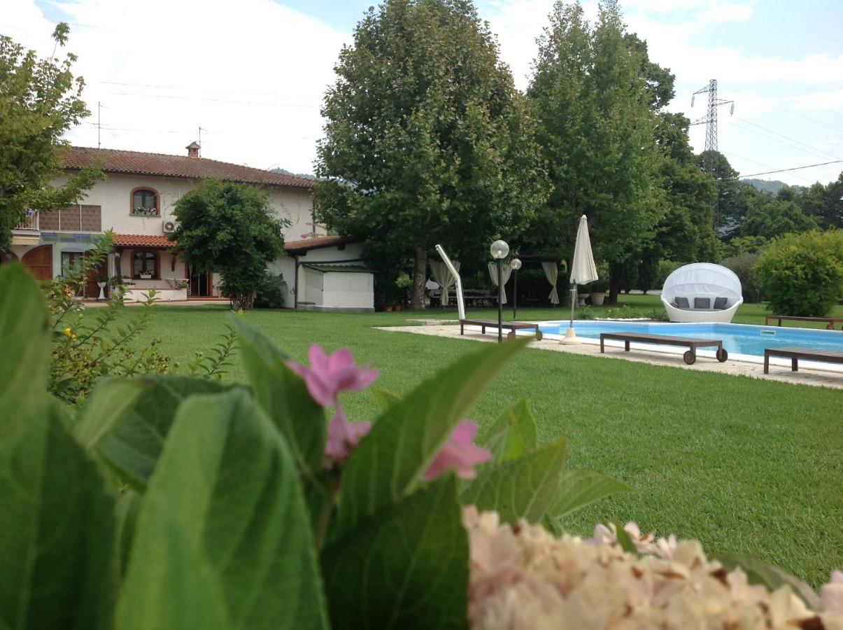 קמאיורה Villa Fioccomare מראה חיצוני תמונה